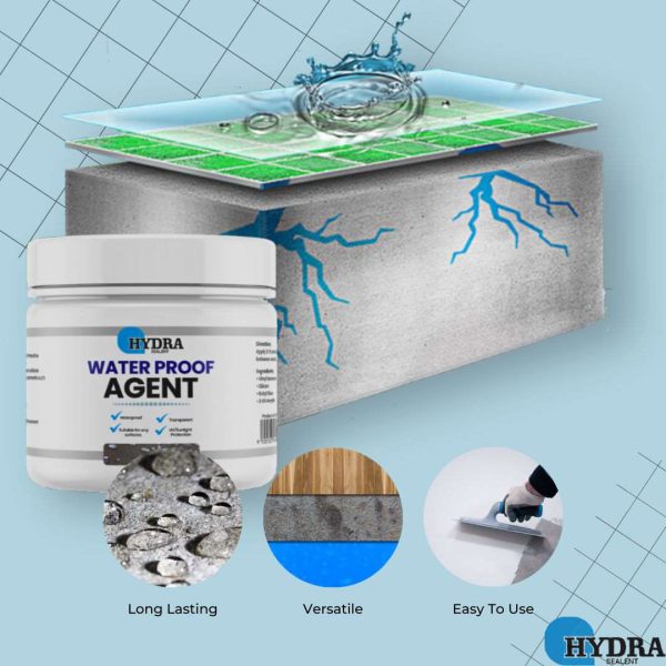 Hydra Anti-Leakage Waterproof Agent With Brush